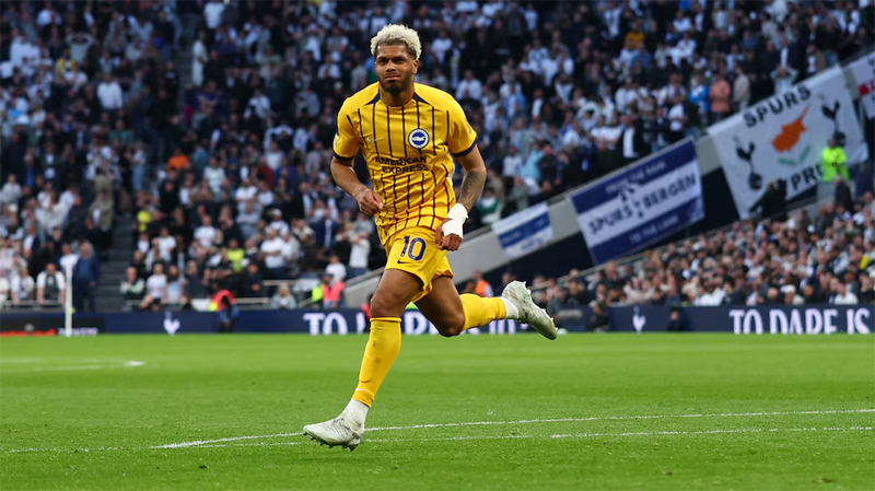 We Are Brighton tweet media