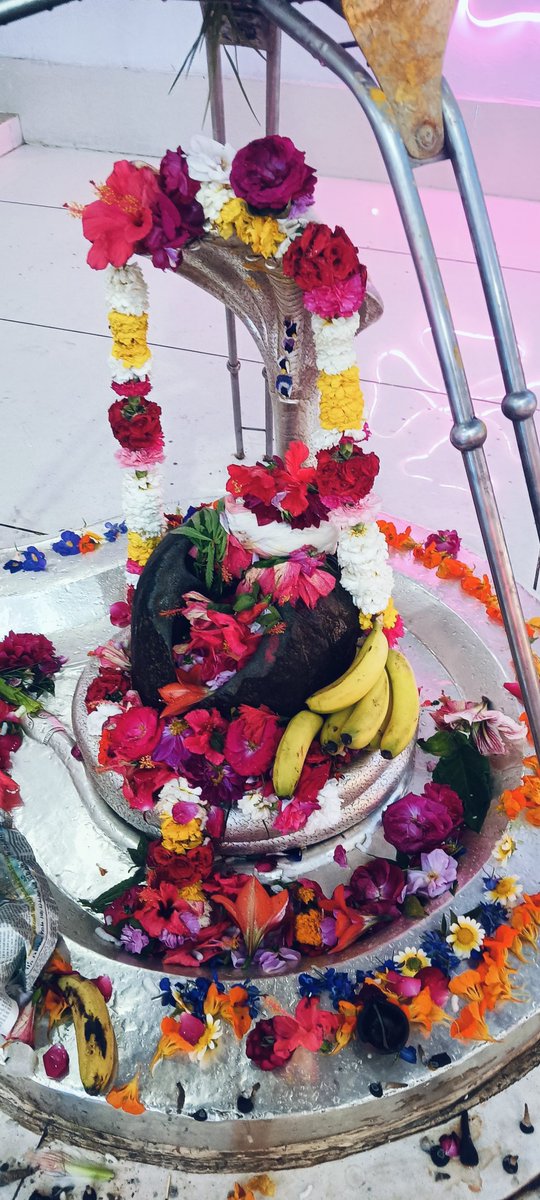 नमः शिवाय