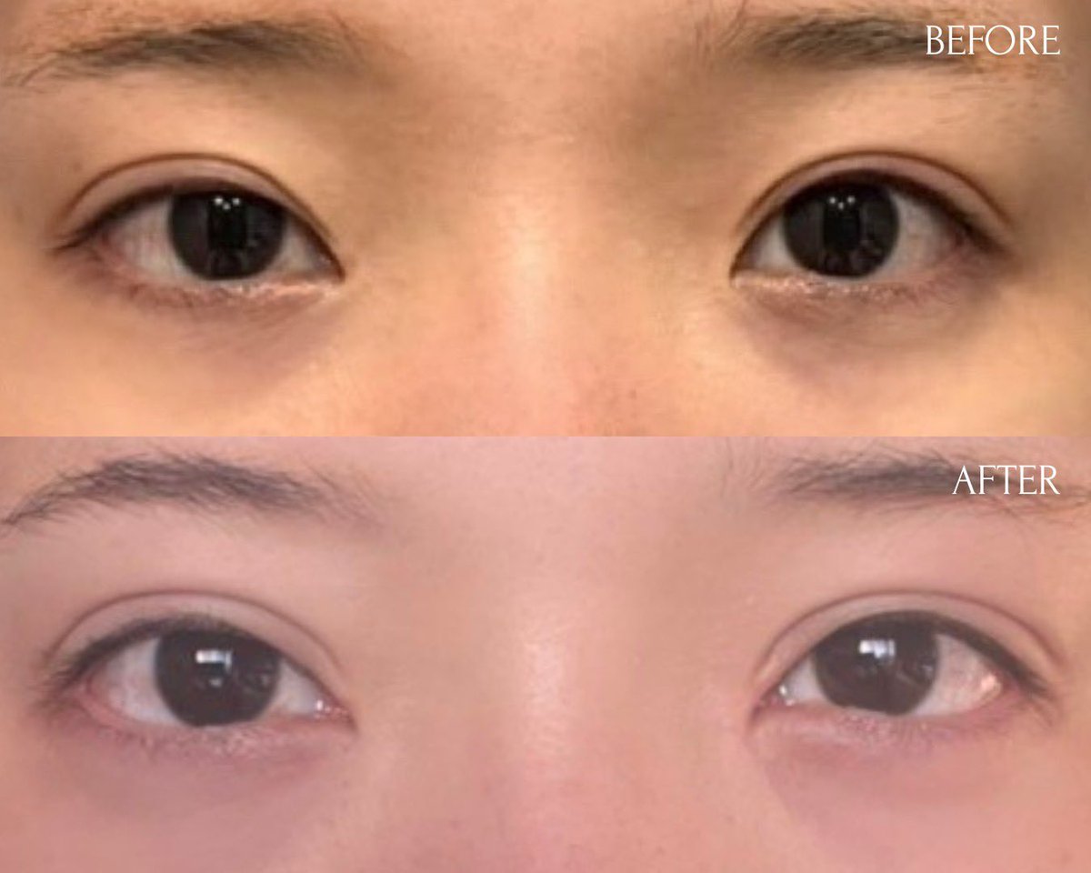 ペンギン tweet media