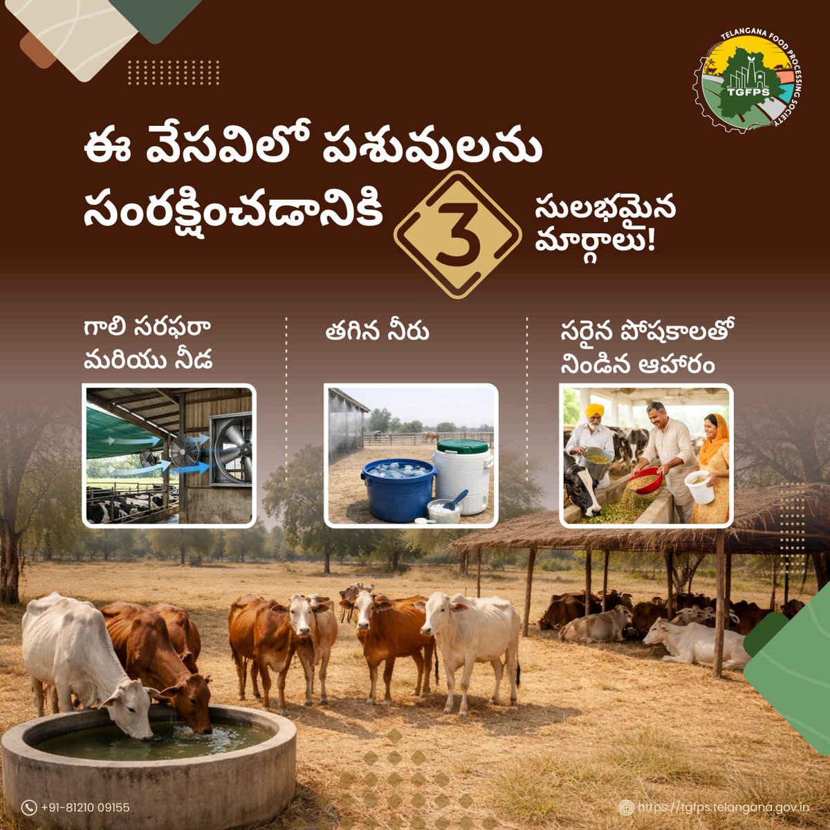 పెరుగుతున్న ఉష్ణోగ్రతలకు పశువుల సంరక్షణలో ఈ మూడు జాగ్రత్తలు అవసరం. 
అవి ఏంటో తెలుసుకోండి! 

#CattleCare #AnimalWelfare #RisingTemperatures #Ventilation #LivestockManagement #FarmProductivity #CattleHealth #TemperatureControl #DairyFarming #TGFPS