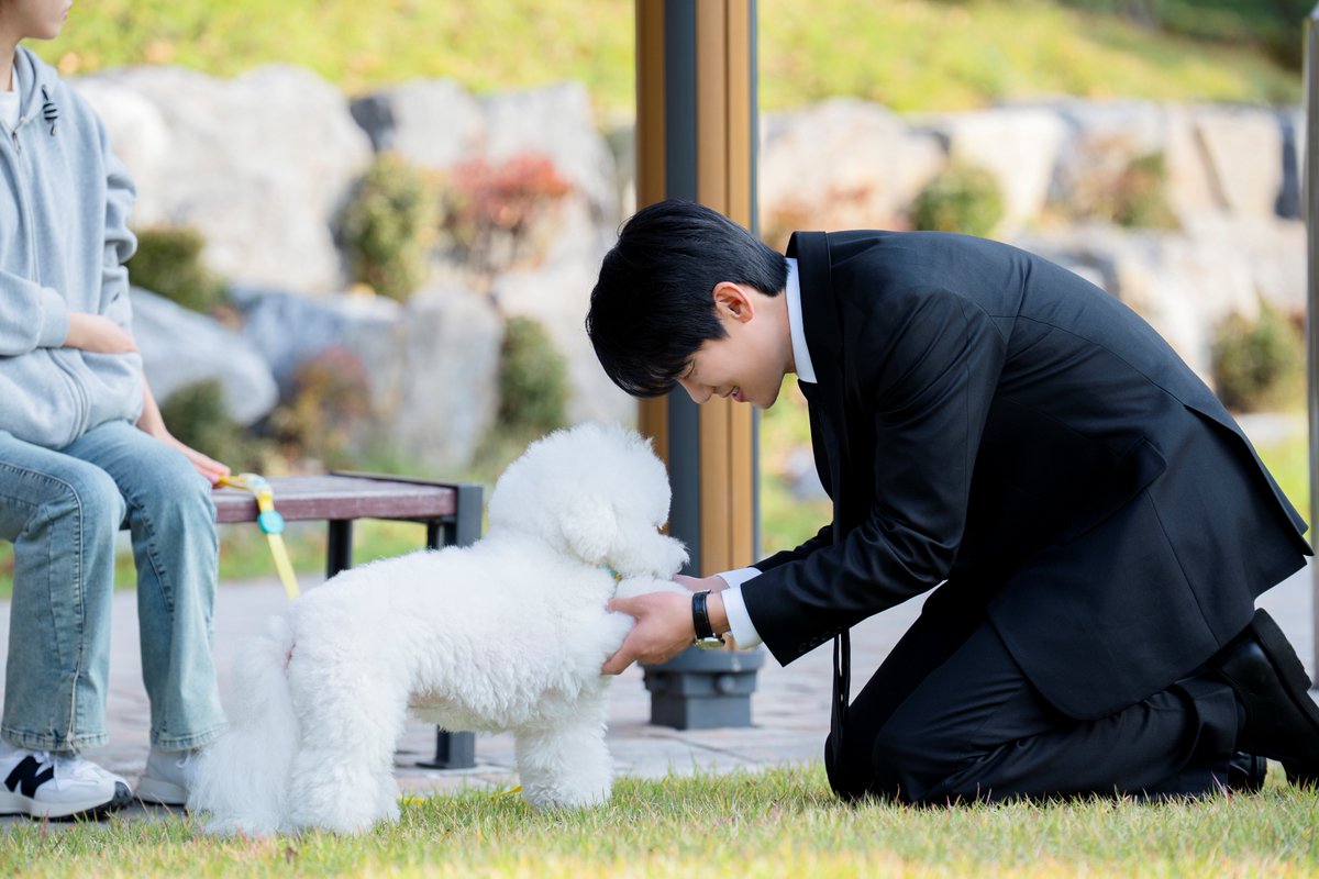 kkbyss_official's tweet image. [#PHOTO]
[유연석] &amp;lt;신이랑 법률사무소&amp;gt; 11, 12회 비하인드
💌 blog.naver.com/kkbyss/2242637…

#유연석 #YooYeonSeok 
#신이랑법률사무소 #PhantomLawyer
#신이랑