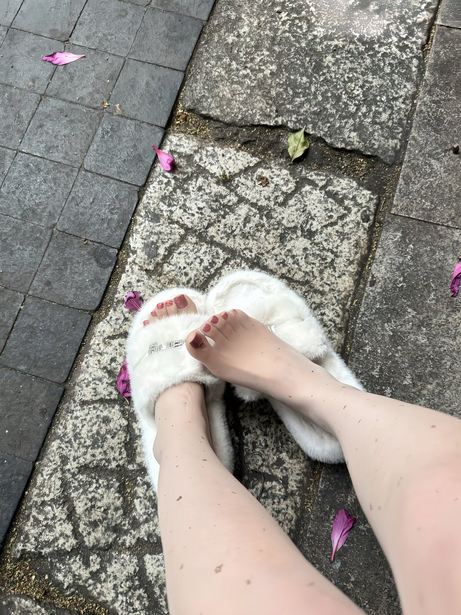 不是鱼鱼i tweet media