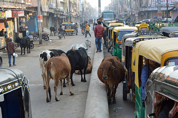 Kuaroo, PhD tweet media