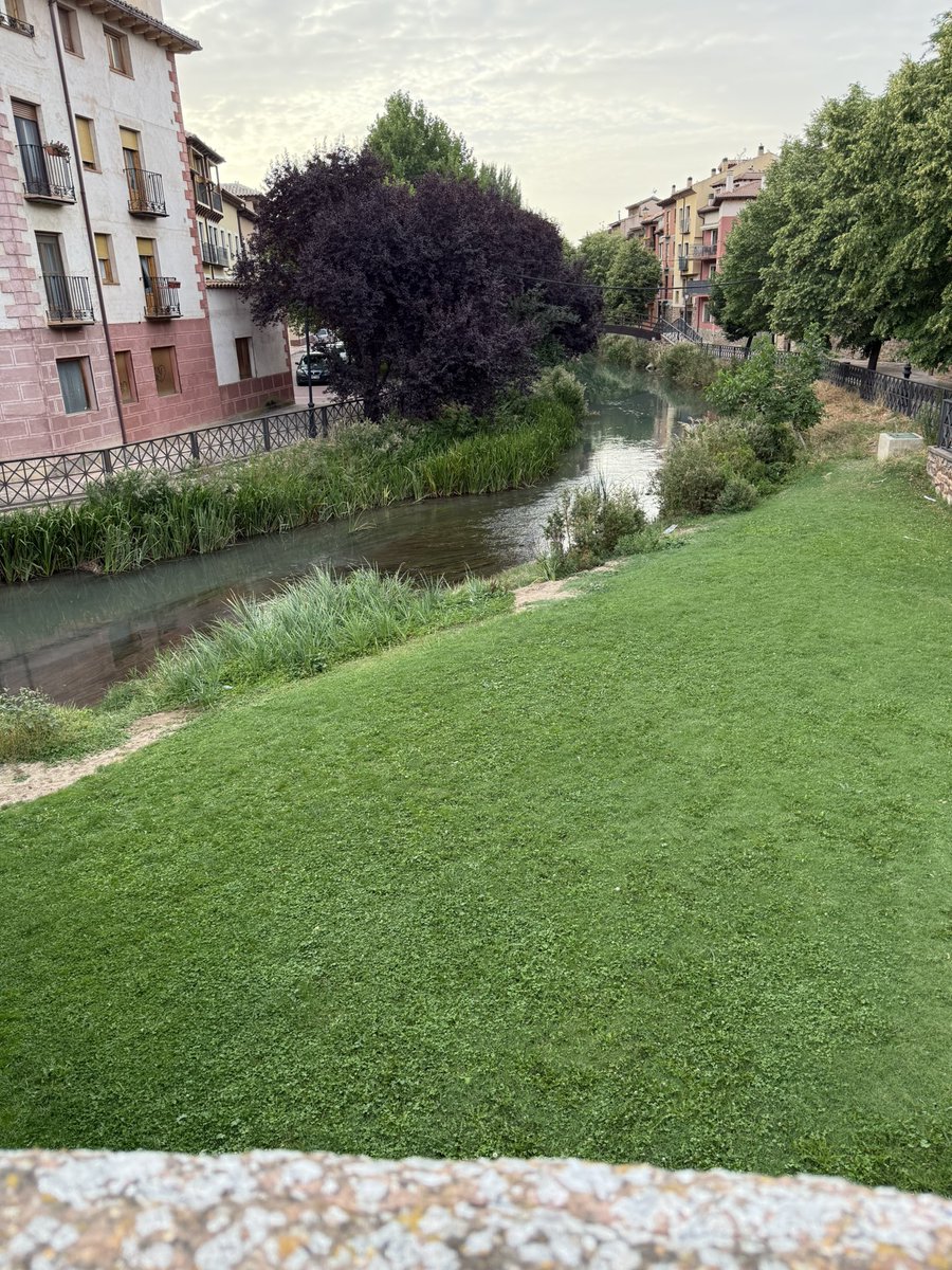 Isabel Redondo tweet media