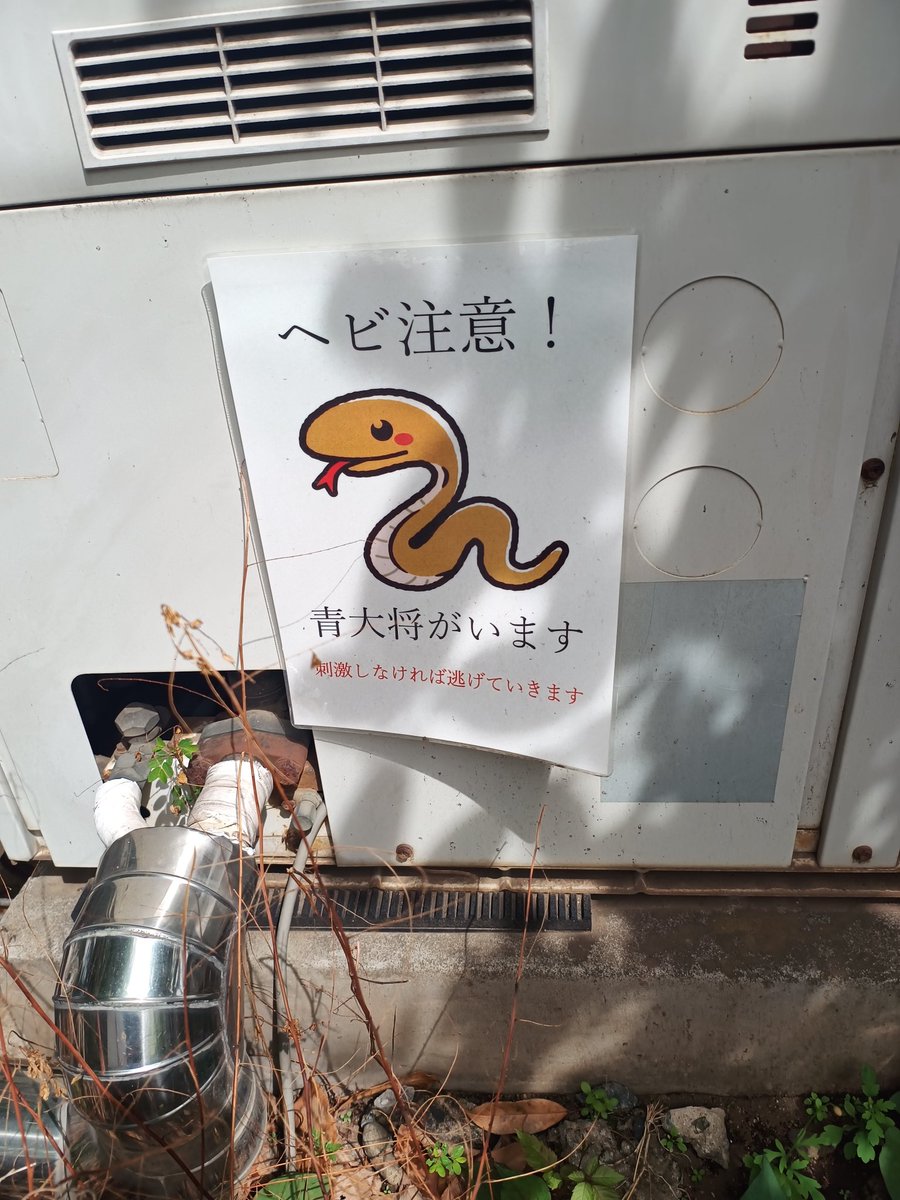 尾米タケル tweet media