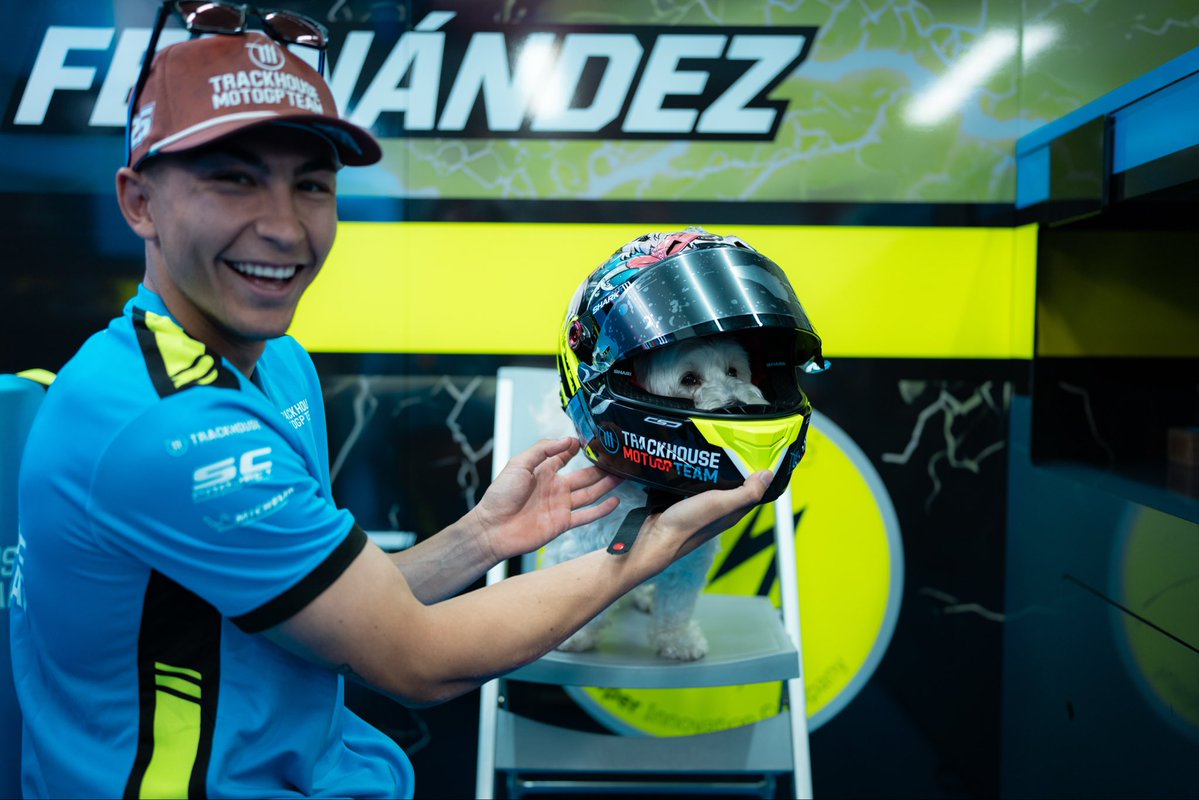 Si el finde ya iba a ser especial… motivación extra! 🤩🐶

¿Qué os parece? 😍