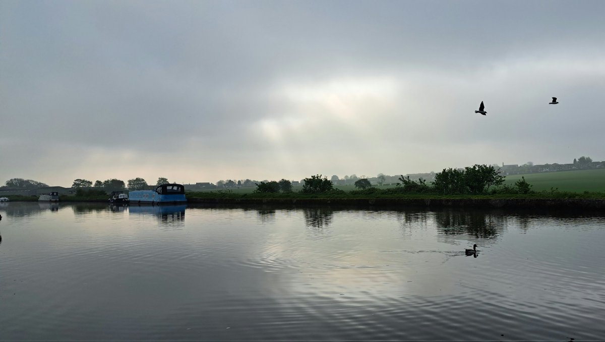 Anne-Marie Denniss tweet media