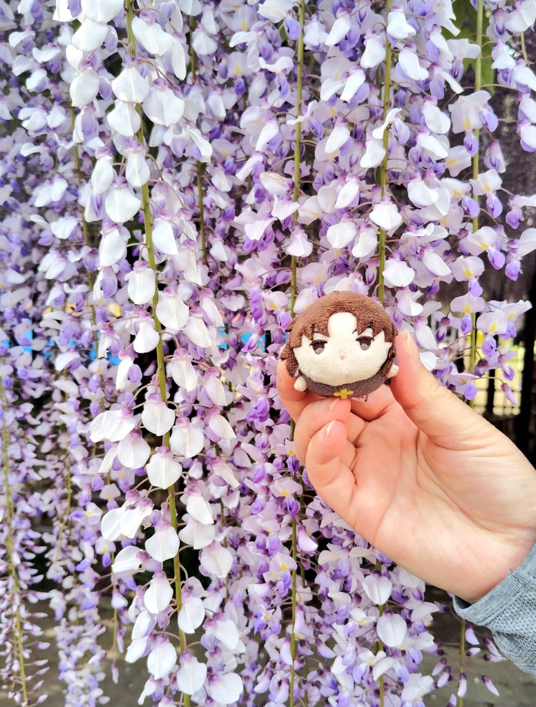 はんなまちゃ tweet media