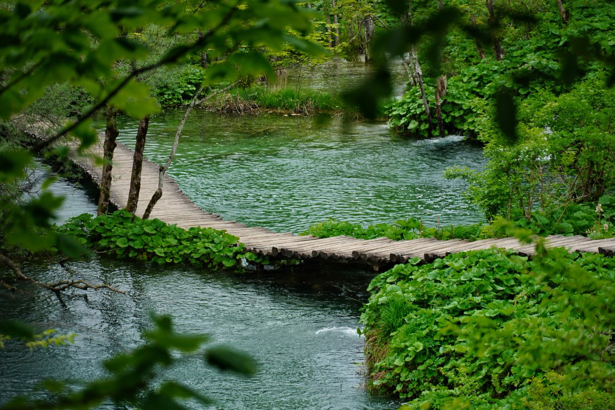 “The journey of a thousand miles begins with one step.” - Lao Tzu 🌿💚

📸 - Sahil Shikalgar