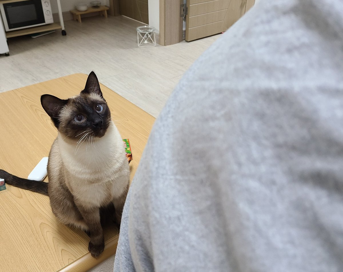임부산 tweet media