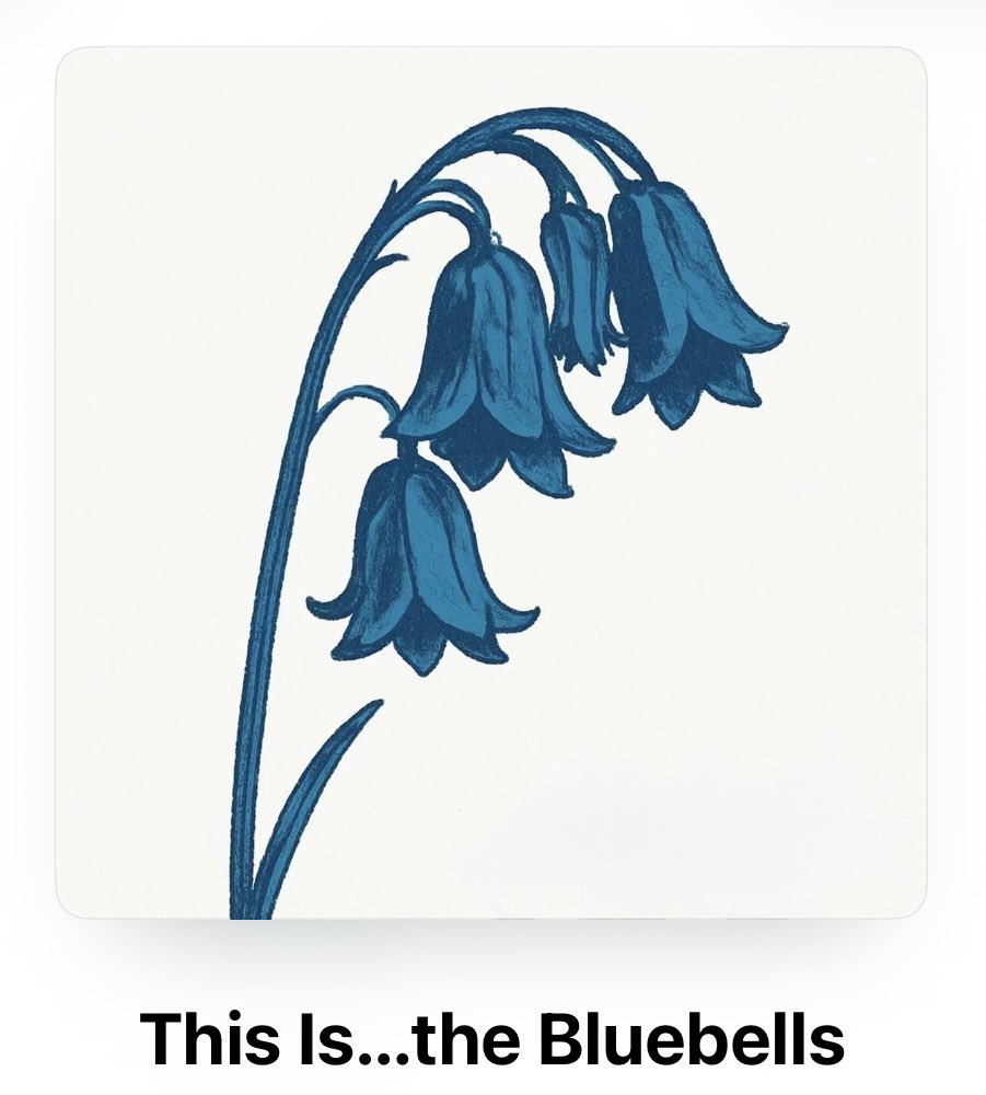 david f ross tweet media