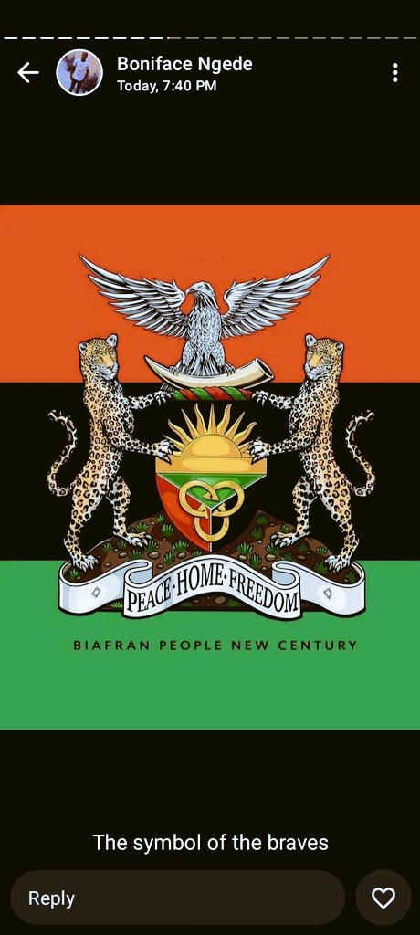 chizobam Okorie tweet media