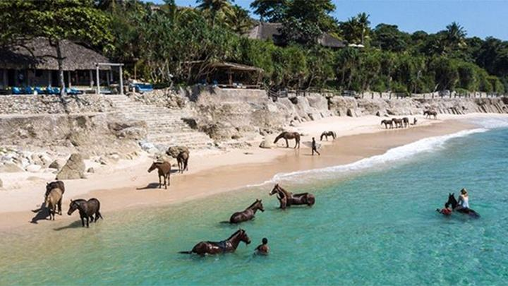 folkative tweet media