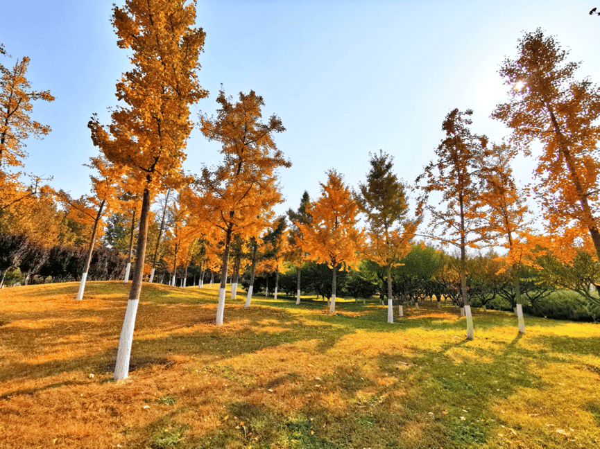 1000liracikkk tweet media