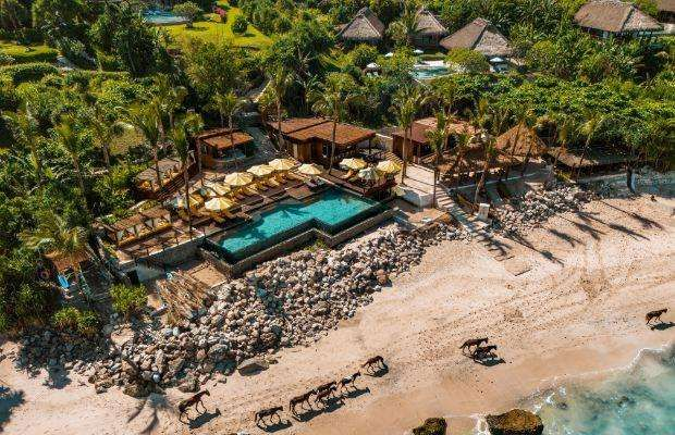 folkative tweet media