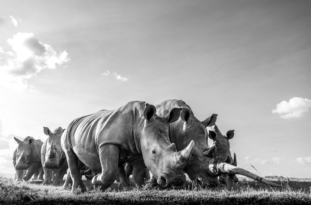 Sue Spurgin tweet media