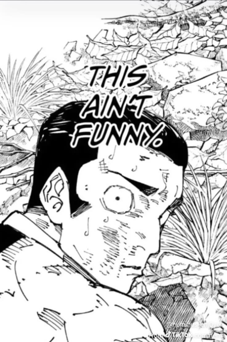 Nitro™️ tweet media