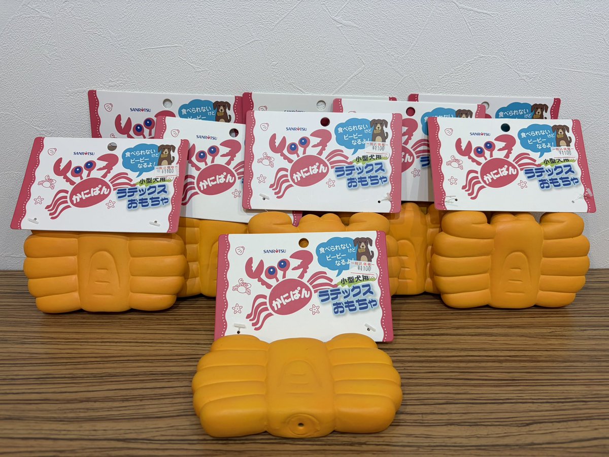 フェレットワールド幕張店 tweet media