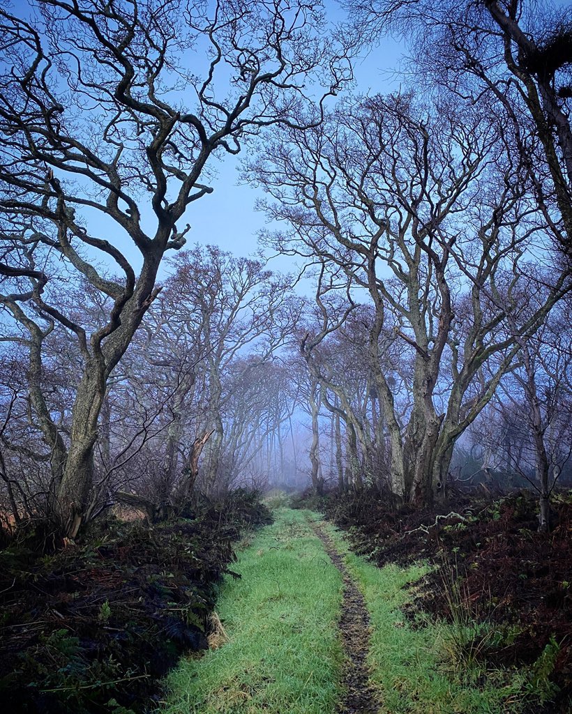 AilishSinclair's tweet image. It’s Friday! Which path to the weekend will we take today? #FridayFeeling