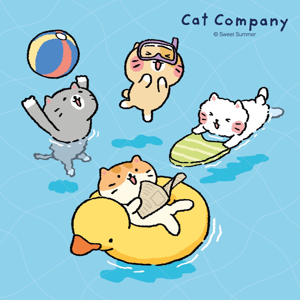 Cat Company tweet media