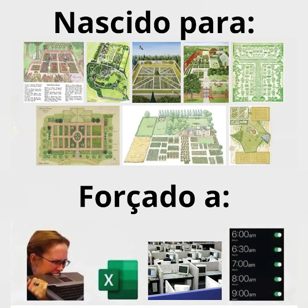 Abrace a Tradição tweet media