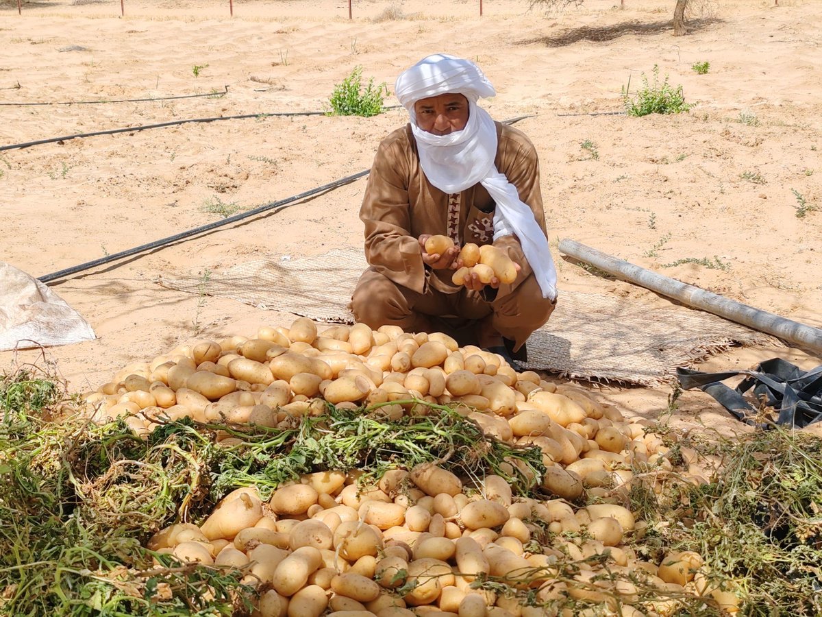 WFP Mali tweet media