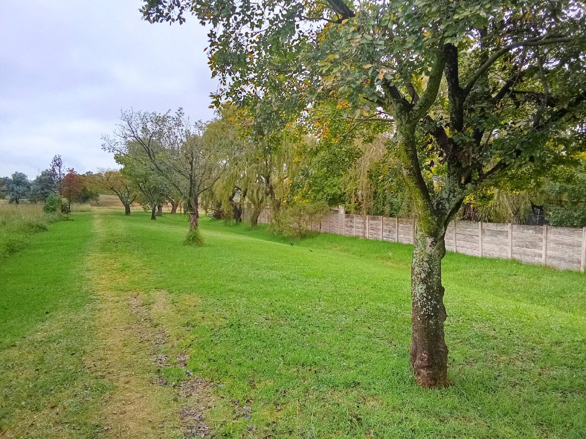 Baba_ka_Peanut's tweet image. Nature's beauty on foot 🌿
#AfternoonWalk #Mindfulness