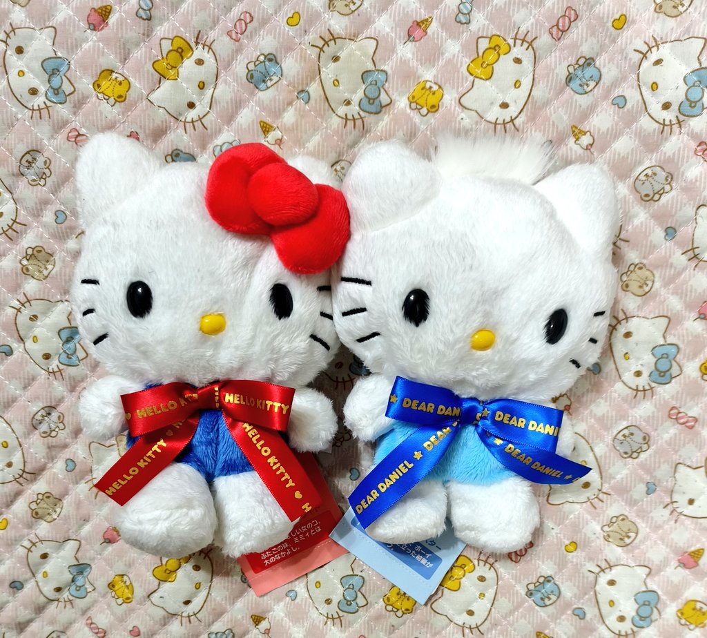 みみきてぃ (@mimi33kitty) / Posts / X