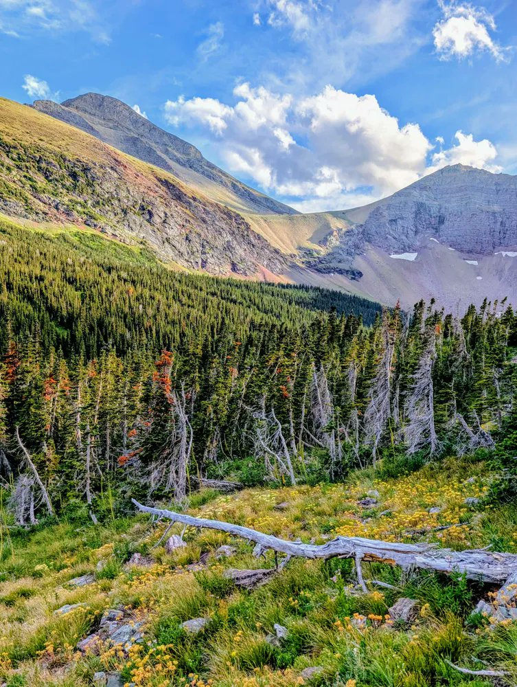 Jenniferfnf's tweet image. Wherever your heart leads, that is the best destination
#Hiking #RockyMountains #Explore  #Nature