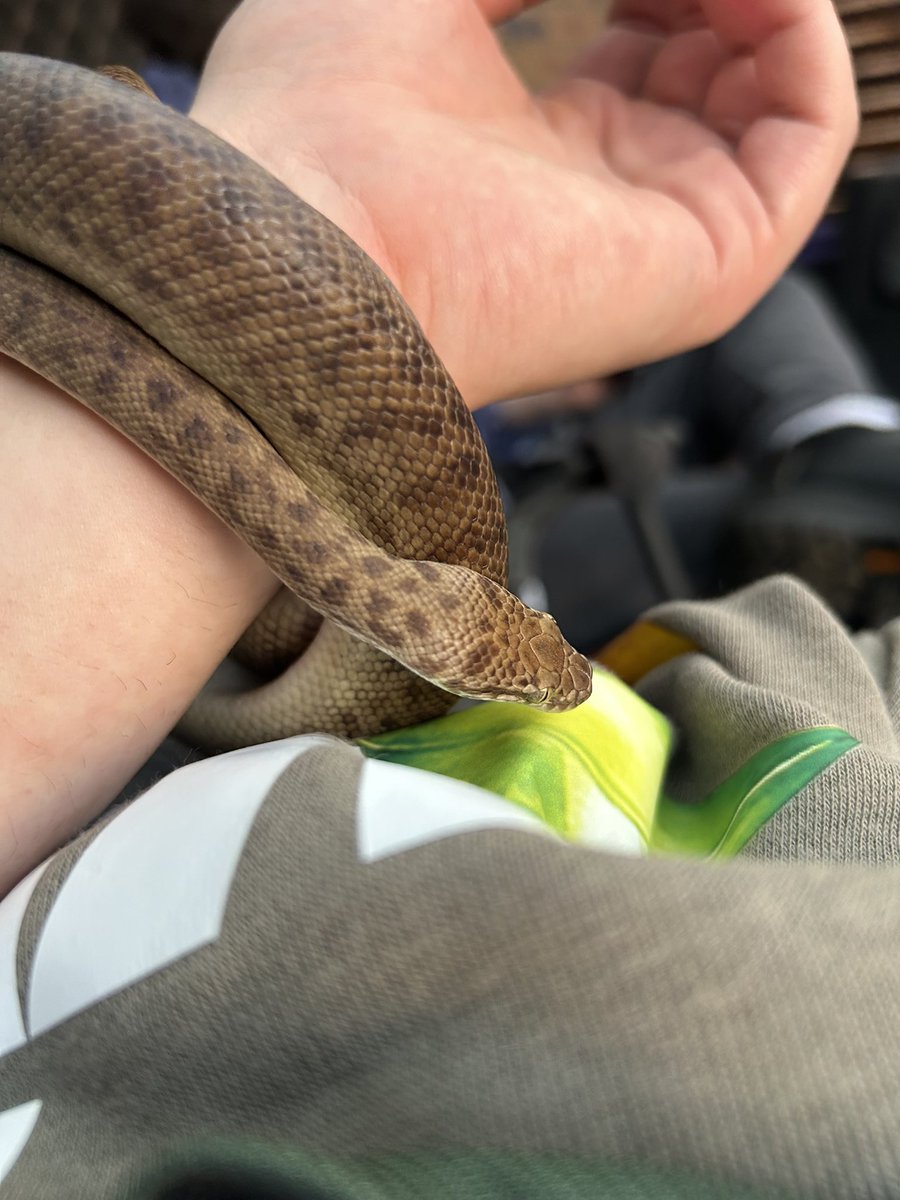 met a snake today!!!!