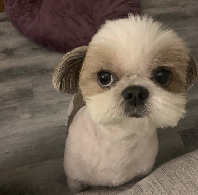 LesenUndTeilen©  🌍 🇪🇺 tweet media