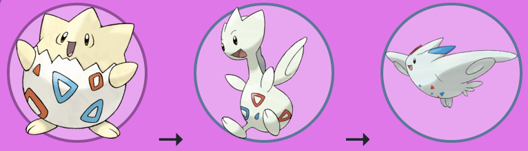 Bat Vibes tweet media