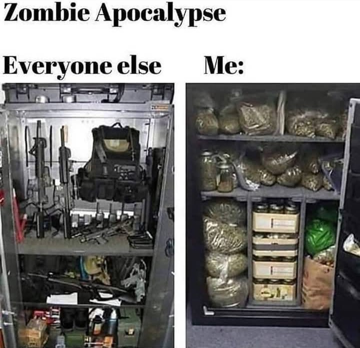 Artek Swaróg🌿💨🇵🇱 tweet media