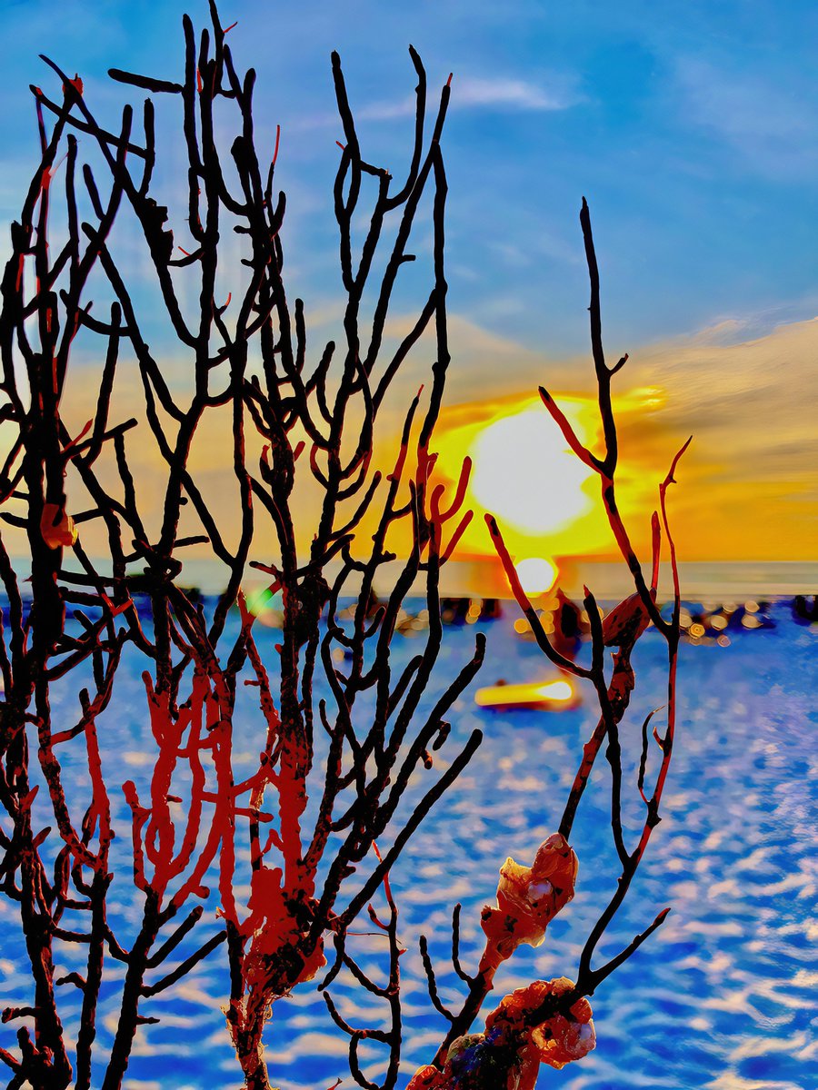 Al-E-Gator tweet media