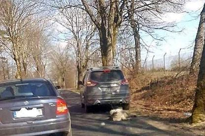 Sławomir Kalinowski tweet media