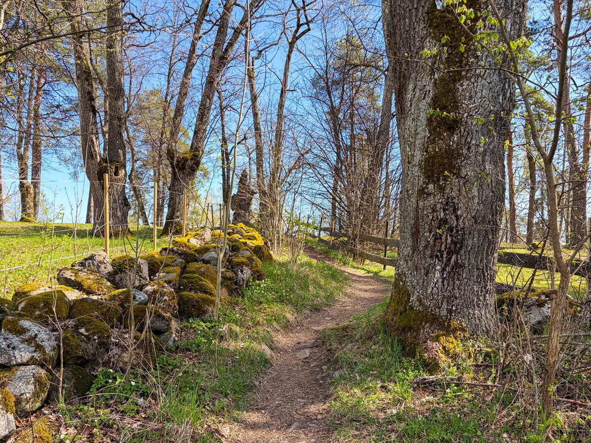 🇺🇦 Per Ravn Myhre tweet media