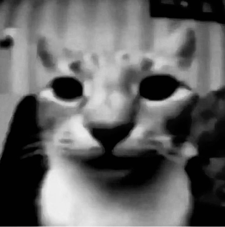 Clov! 🍉 tweet media