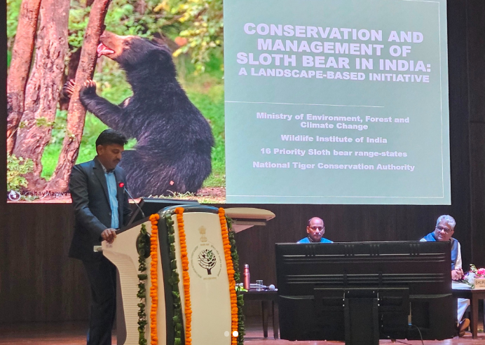 slothbear2026's tweet photo. Guided by the vision of Hon’ble Prime Minister Shri Narendra Modi and led by Hon’ble Environment Minister Shri Bhupender Yadav, #ProjectSlothBear was launched during #NationalWildlifeWeek2025 at the historic Hari Singh Auditorium, IGNFA–FRI campus, Dehradun (October 6, 2025).
The event, organized by @moefcc in collaboration with @wii_india, @IcfreIndia and @IGNFA_GoI, brought together policymakers, scientists, and conservation practitioners from across the country.
Building on the roadmap outlined at the 7th National Board for Wildlife (March 3, 2025, Gir), the initiative reflects a national commitment to innovative, technology-driven and community-centric conservation, with a strong focus on coexistence and human–bear interface management.
@CRamesh_WII , Scientist E @wii_india and Principal Investigator of #ProjectSlothBear, briefly introduced the initiative, highlighting it as a dedicated effort for the conservation and management of sloth bears. The project adopts a landscape-level approach, integrating science-based research, habitat management, and interface management to promote coexistence across the species’ range.
A project brochure was also released by Hon’ble Environment Minister Shri Bhupender Yadav in the presence of Director General of Forests Shri Sushil Kumar Awasthi, Additional Director General(Wildlife) @rameshpandeyifs and Director of Wildlife Institute of India @GobindsagarBha1. The brochure outlines key objectives, the current status of sloth bears in relation to forested landscapes, and the need for coordinated conservation efforts beyond protected areas. With a focus on scientific monitoring, habitat restoration, and coexistence-oriented management, the initiative aims to support State Forest Departments and strengthen conservation efforts across India.
#ProjectSlothBear #SlothBear #BearConservation #HumanWildlifeCoexistence #InterfaceManagement #IndiaWildlife #ProjectSlothBear
@PMOIndia @byadavbjp @moefcc @wii_india @IGNFA_GoI @NationalCAMPA @EIACPIndia @SACONCoimbatore @wii_eiacp @CentralIfs @rameshpandeyifs @tewari23san @ben_ifs @GobindsagarBha1 @RuchiBadola2 @CRamesh_WII @BivashPand34733 @Kramesh95 @amitwii @UpmaManral