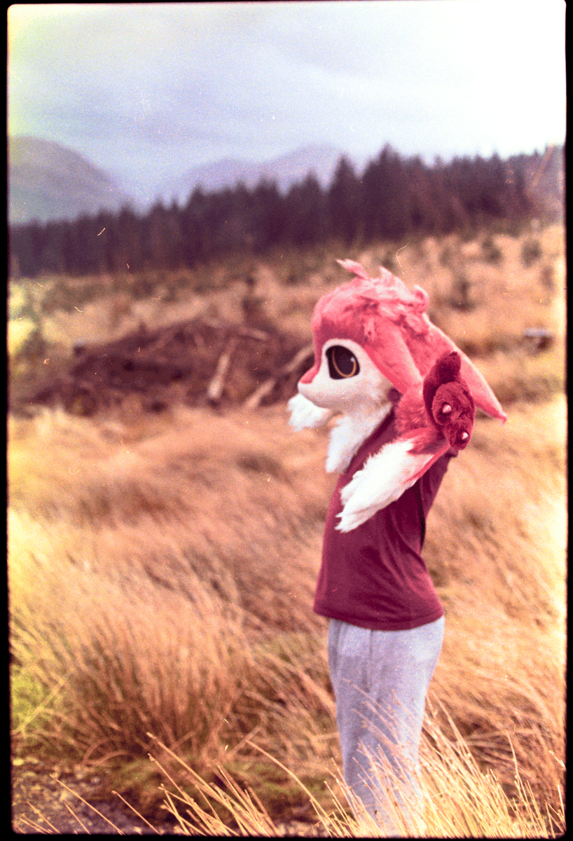 NeonOverr's tweet photo. #avali #photography #furry #fursuitfriday https://t.co/2ZlByOlLA5