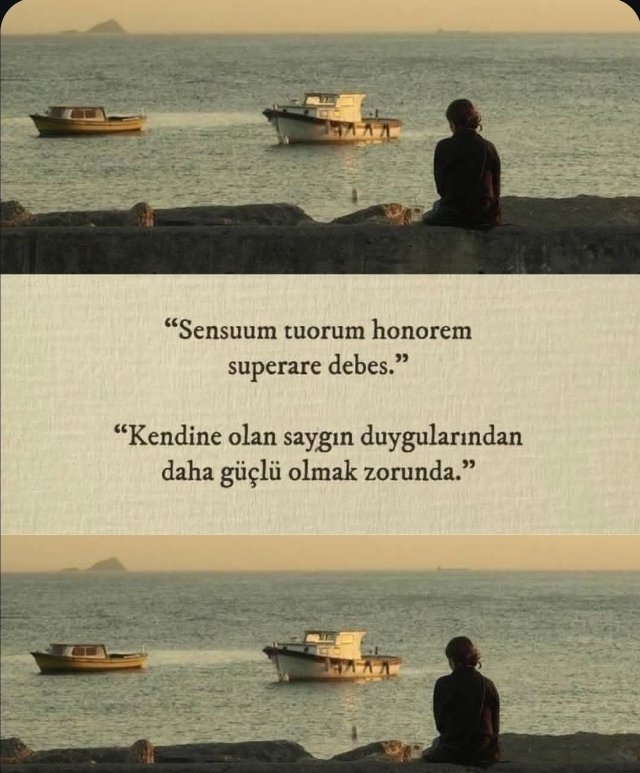Ardıç Kuşu tweet media