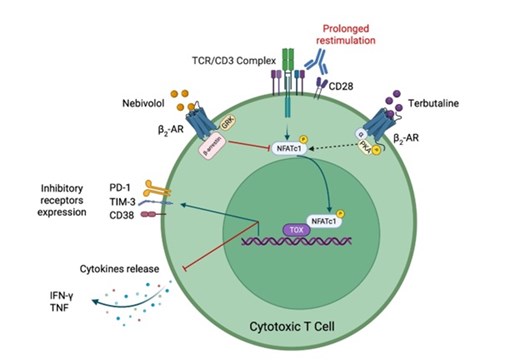 Clinical & Experimental Immunology tweet media
