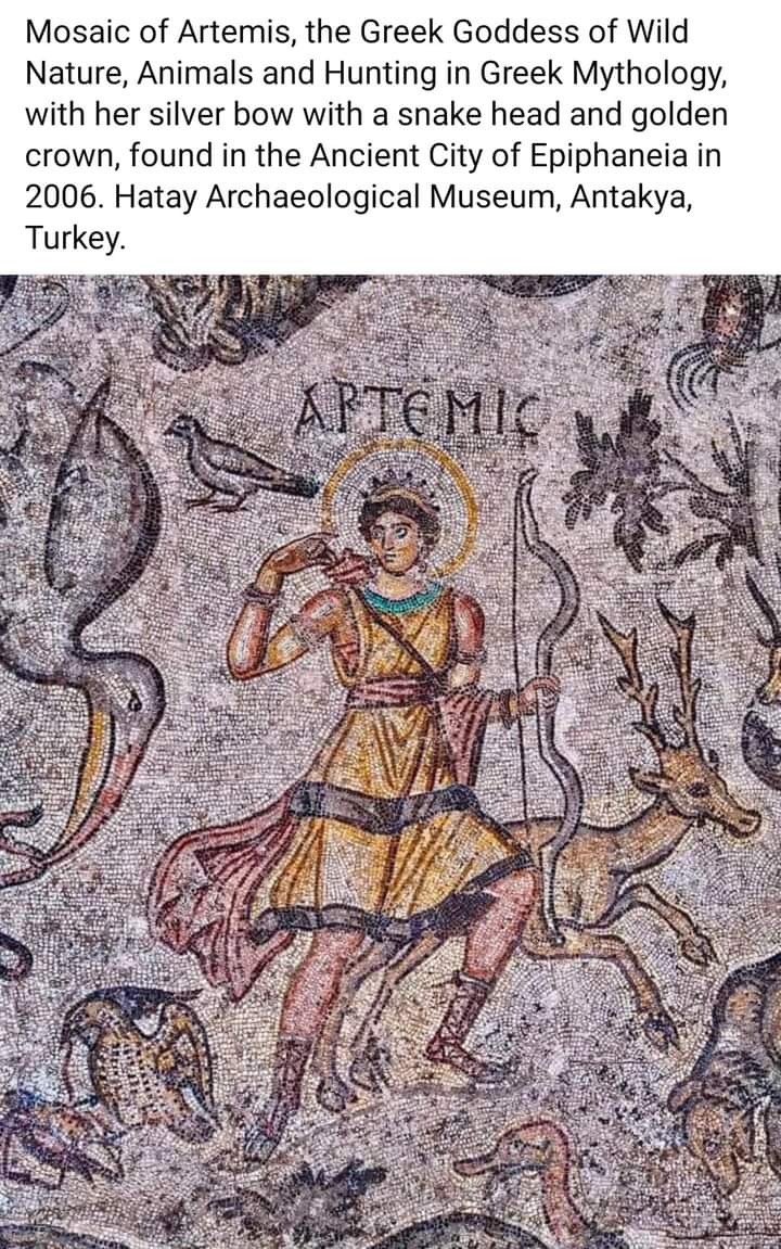 ANDREASAG tweet media