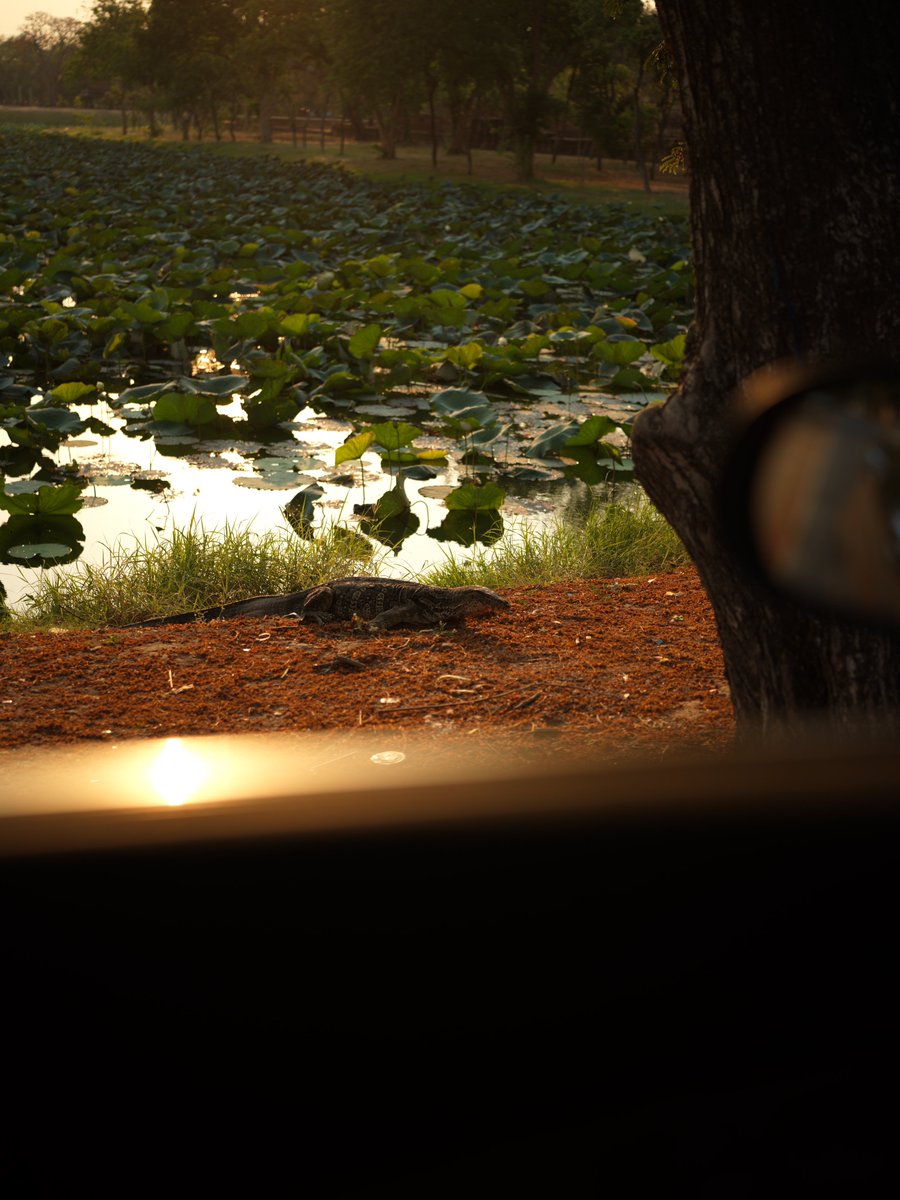 อันโดรเมด้า ชุน tweet media