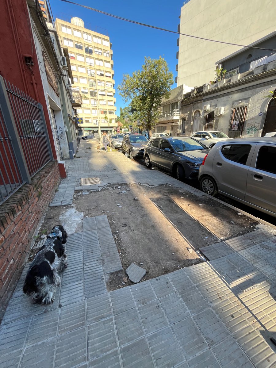 Gastón González Napoli tweet media