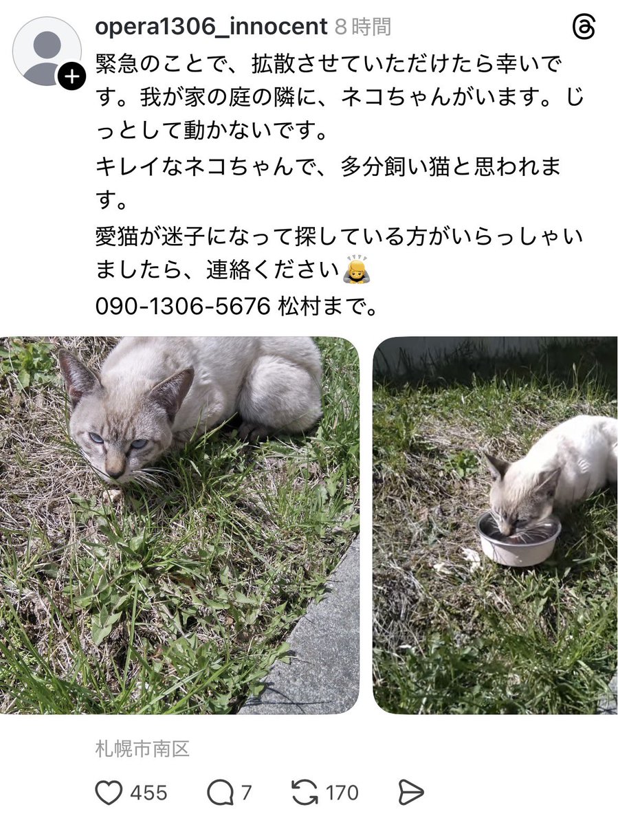 北海道＊保健所＊里親募集 tweet media