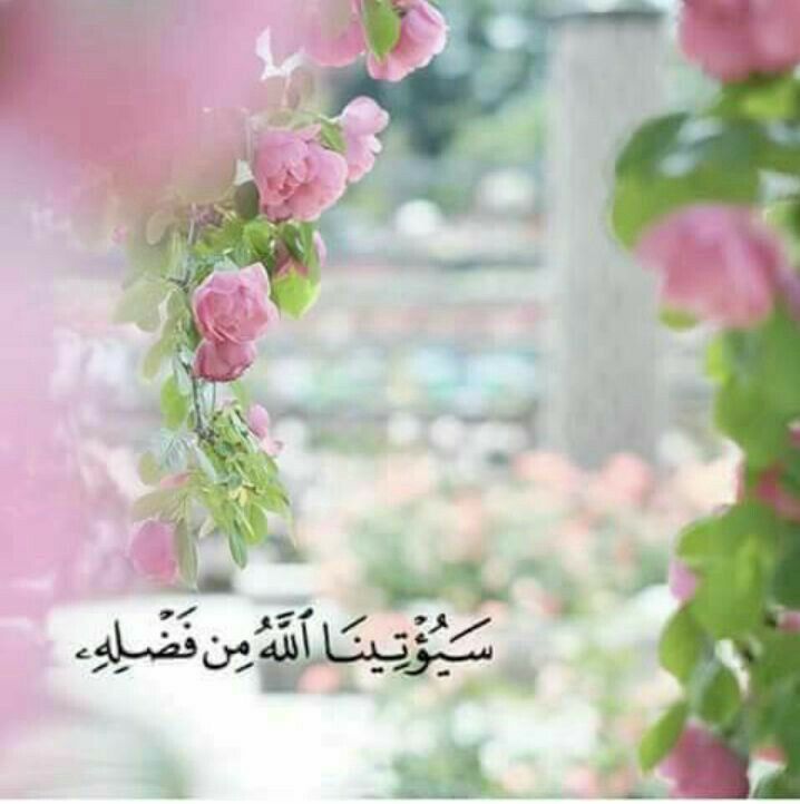 nanosweet2015's tweet photo. "يارب
أنا اعتدت أن أكون فيّاضة غزيرة، ولم أكفُّ يومًا عن مدّ ضوئي لكل من طرق بابي منطفئًا..
يا رب ،اجعل كل ما احب يأتيني بغزارة المطر وسعة السماء" https://t.co/Ax4NjPSYy4