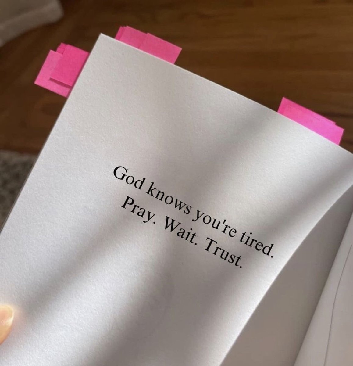 Ｗ 𝗜 𝗦 𝗘 𝗖 𝗢 𝗡 𝗡 𝗘 𝗖 𝗧 𝗢 𝗥 ™ 💬 tweet media