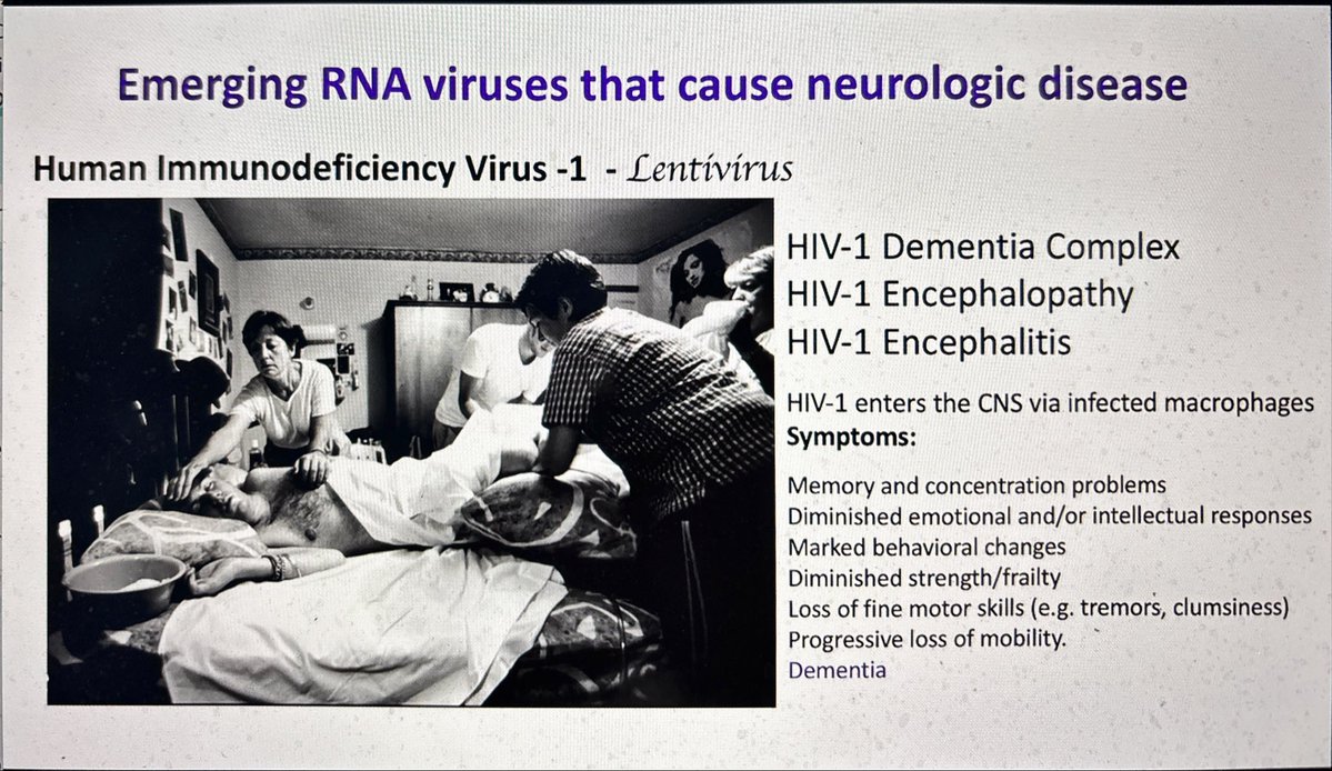 Janetbirdope's tweet image. Excellent @SchulichMedDent #Rheumatology grand rounds

neurotropic viruses affect brains

?cause of #brain #fog in pts w #autoimmune #diseases 

#RNA 🦠 #viruses

@KleinLab_WUSTL