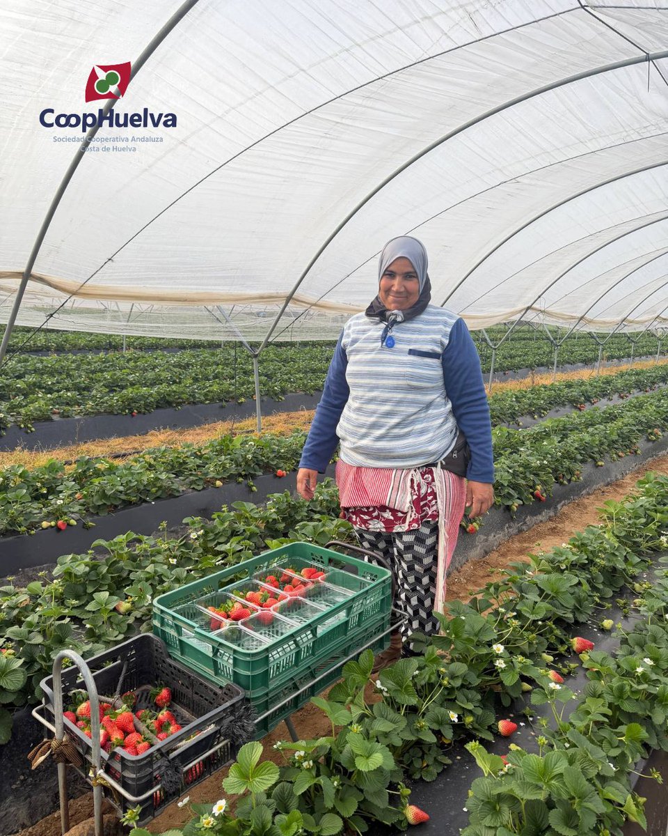 coophuelva.es tweet media
