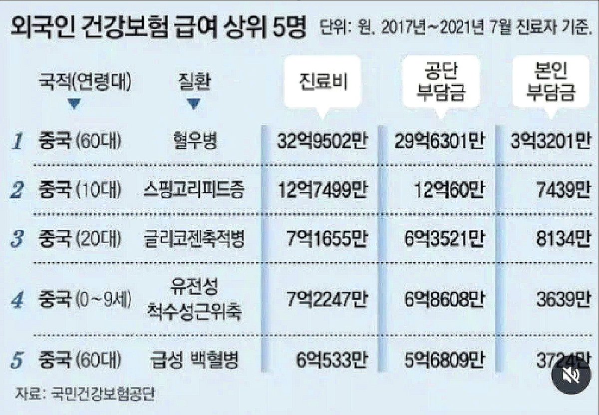 [펌] 외국인 건강보험 급여 상위 5명 국적 ㄷㄷㄷㄷㄷ